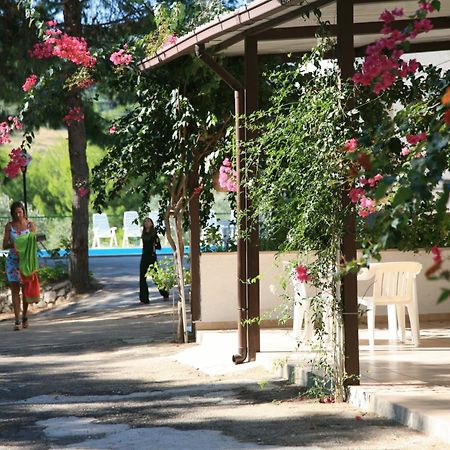 Residence San Luca Βιέστε Εξωτερικό φωτογραφία