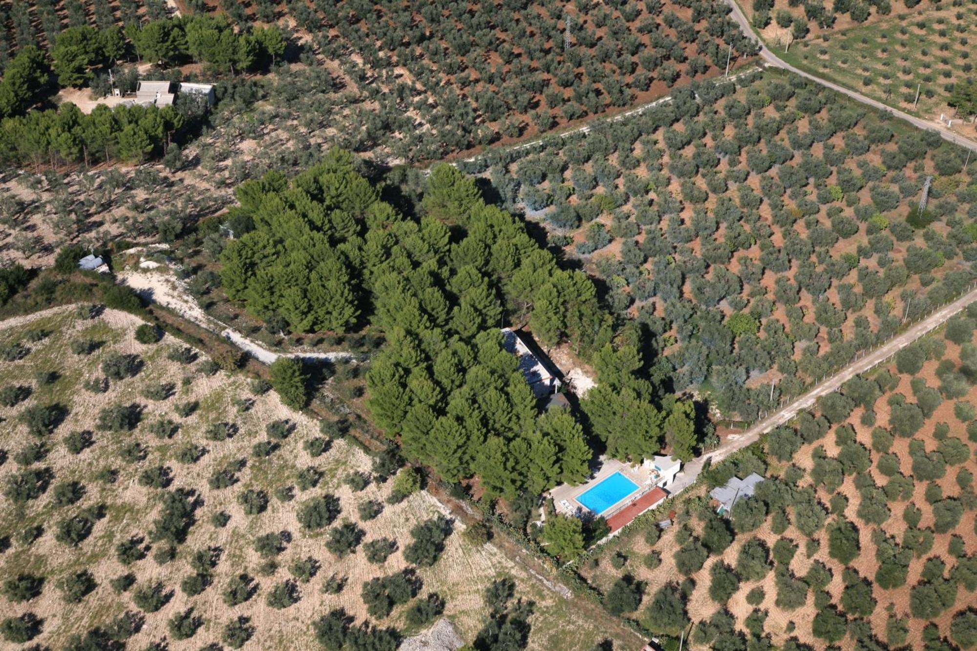Residence San Luca Βιέστε Εξωτερικό φωτογραφία
