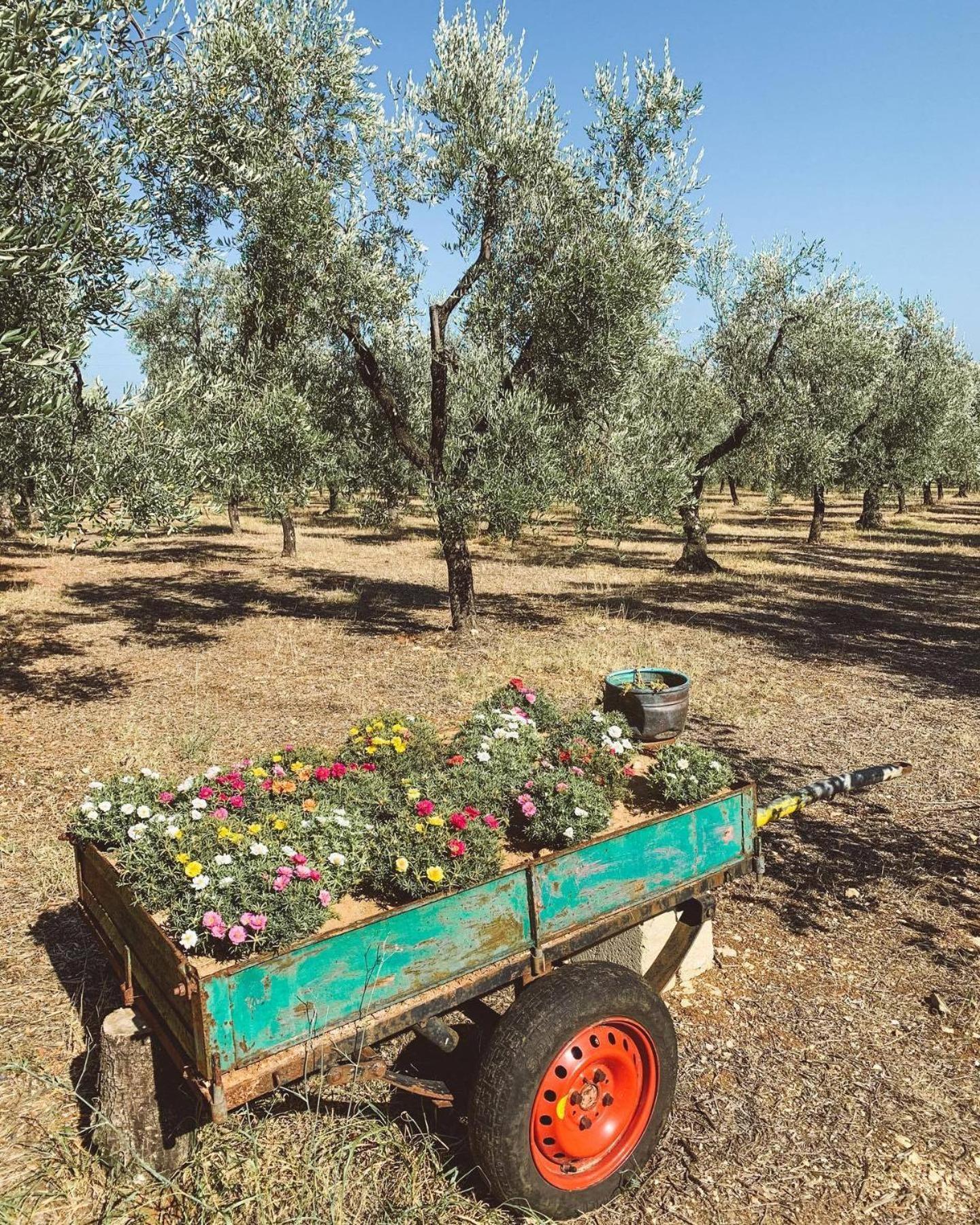 Residence San Luca Βιέστε Εξωτερικό φωτογραφία