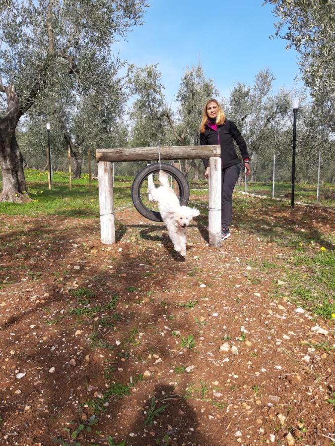 Residence San Luca Βιέστε Εξωτερικό φωτογραφία